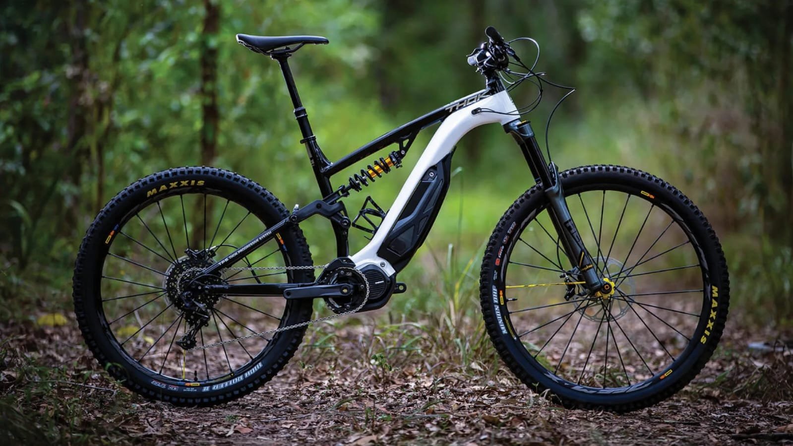 Luxury Cruiser e-Bike