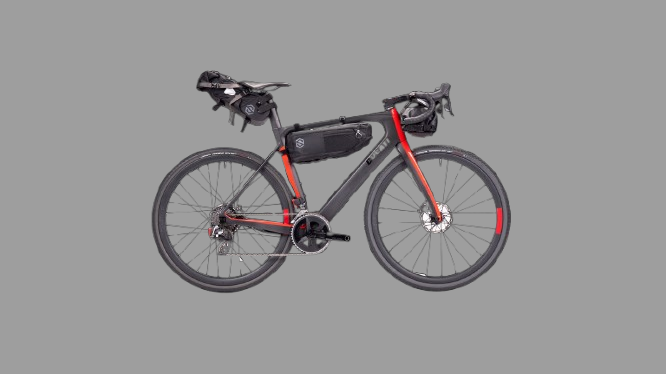 Cargo Carrier e-Bike